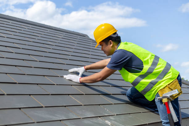 Best Storm Damage Roof Repair  in Payne, OH